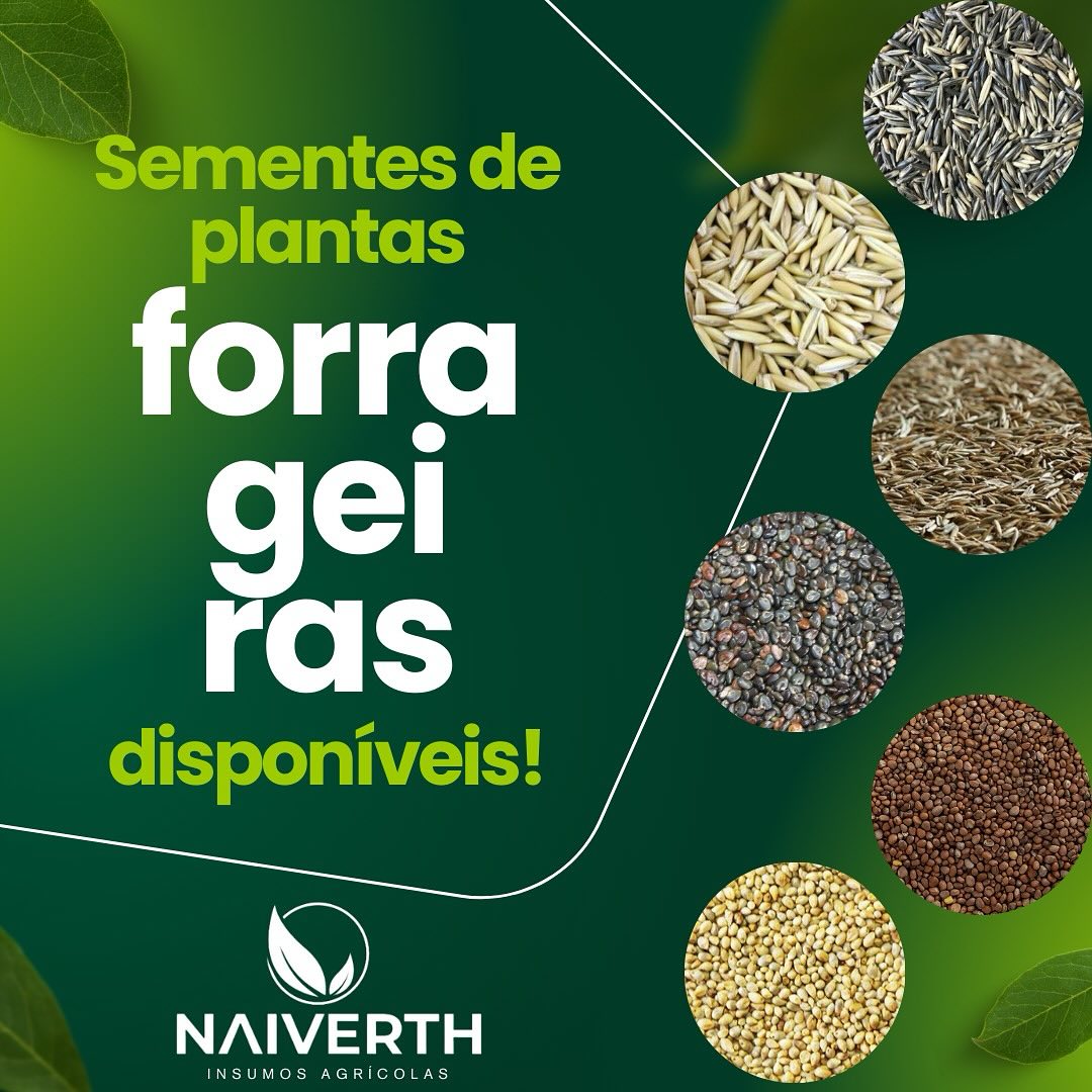 Sementes.jpg